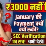 Big Update! Ladki Bahin Yojana Payment Issue: SEC Verification ने रोकी January ₹3000 Installment
